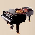 Steinway and Sons fortepian model C-227