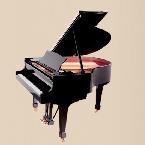 Steinway and Sons fortepian model S-155